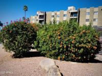 More Details about MLS # 6847446 : 425 S PARKCREST#335