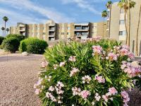 More Details about MLS # 6873762 : 425 S PARKCREST#323